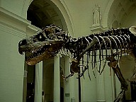 img0120.jpg