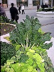 img0170.jpg